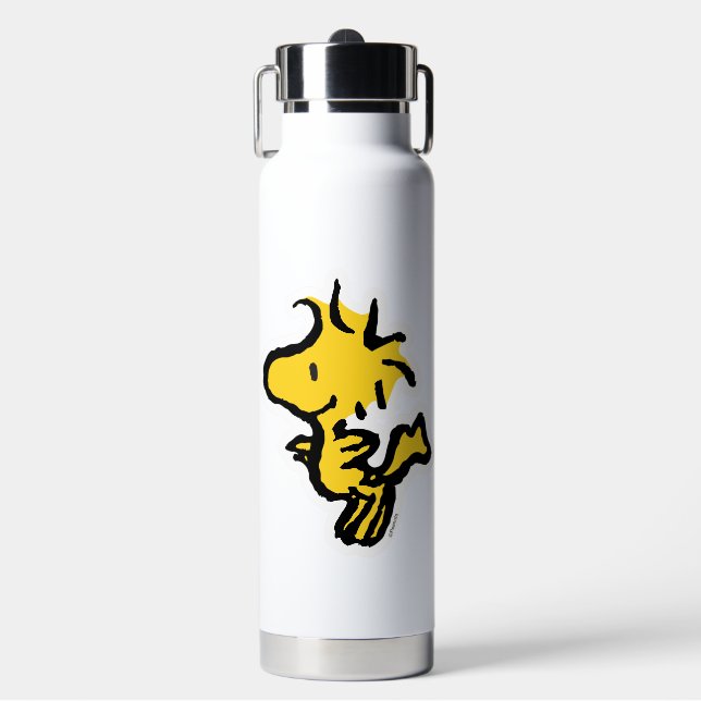 Botella De Agua Diversión y flores de Snoopy & Woodstock (Frente)