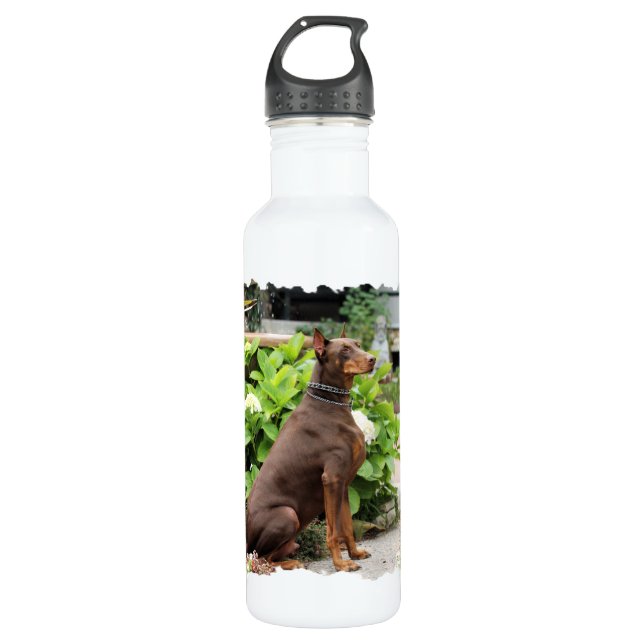 Botella De Agua Doberman - en el jardín de la iglesia (Anverso)