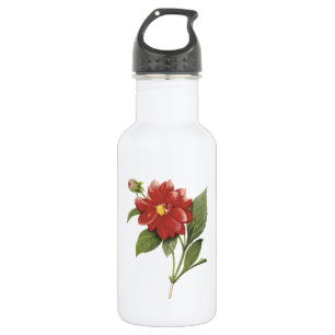 Botella De Agua doble dahlia (Dahlia sp.) de Redouté