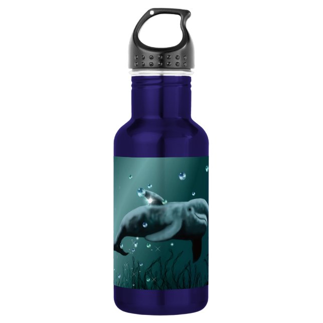Botella De Agua Dolphin Dream (Anverso)