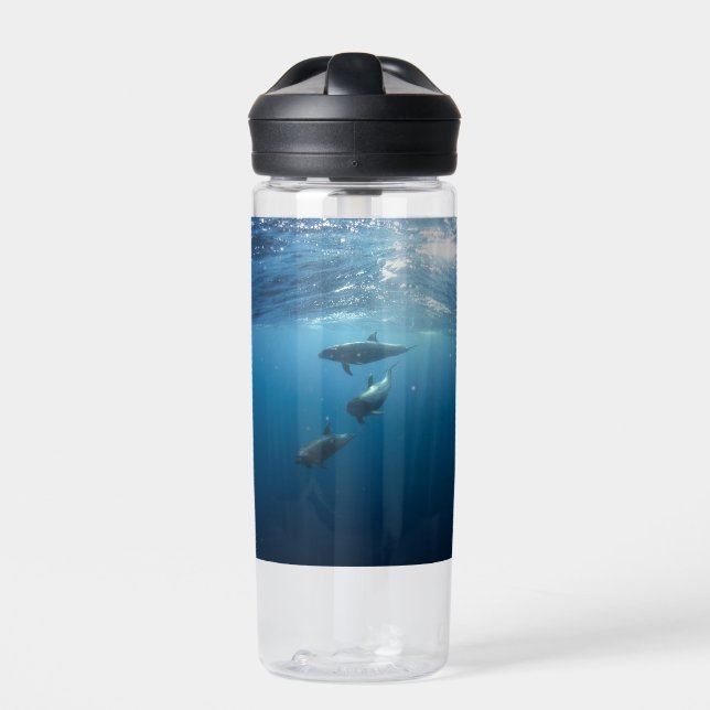 Botella De Agua Dolphin Family Underwater (Delante)