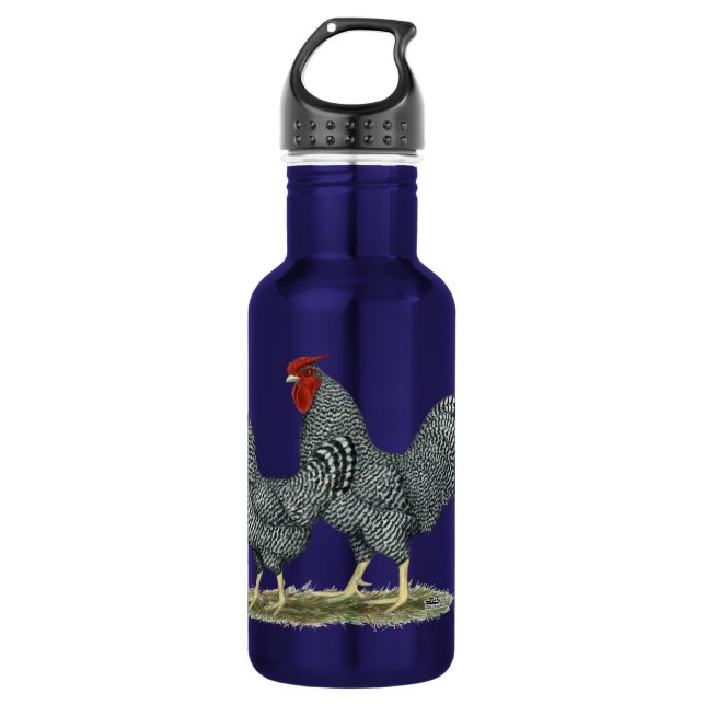 Botella De Agua Dominique Chickens (Anverso)