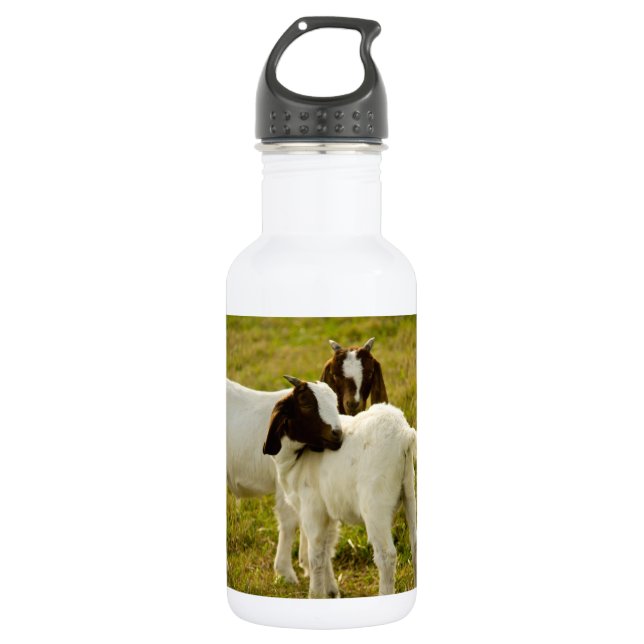 Botella De Agua Dos cabras boer lindas (Anverso)