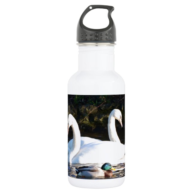 Botella De Agua Dos cisnes y un pato (Anverso)