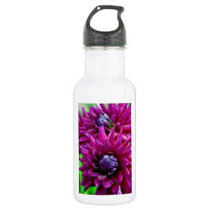 Botella De Agua Dos dahlias moradas florecen