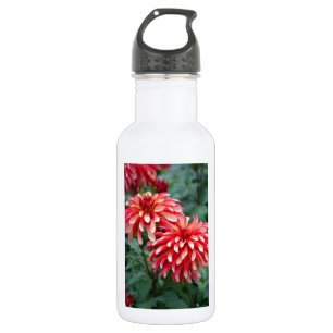 Botella De Agua Dos flores de dahlia rosa