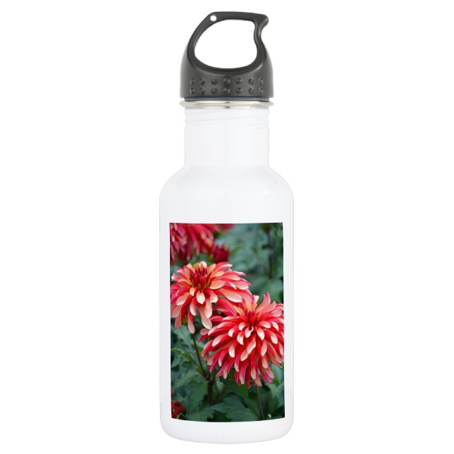 Botella De Agua Dos flores de dahlia rosa (Anverso)