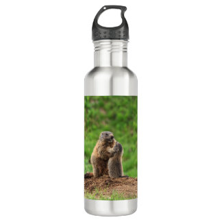 Botella De Agua Dos marmotas
