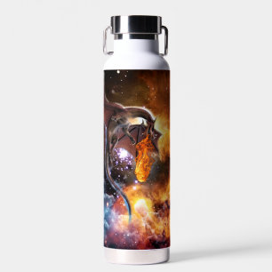 Botella De Agua Dragón de la galaxia estrellada
