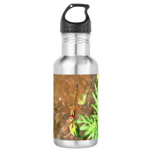 Botella De Agua Dragonfly artístico descansando sobre la cabeza de