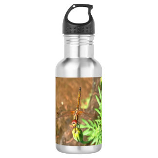 Botella De Agua Dragonfly artístico descansando sobre la cabeza de