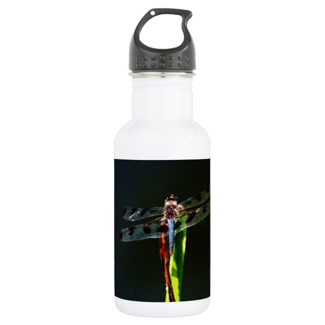 Botella De Agua Dragonfly azul y negro sobre hierba verde y roja (Anverso)