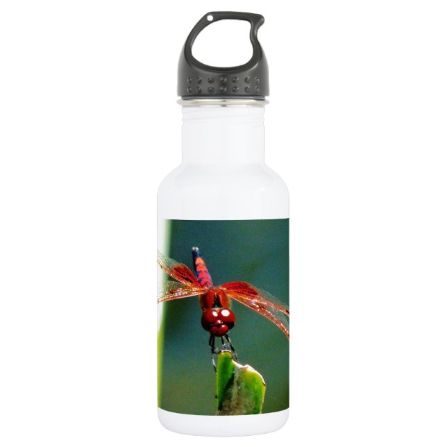 Botella De Agua Dragonfly Frontal Rojo y Negro (Anverso)