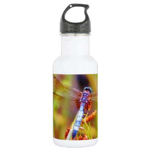 Botella De Agua Dragonfly verde azulado