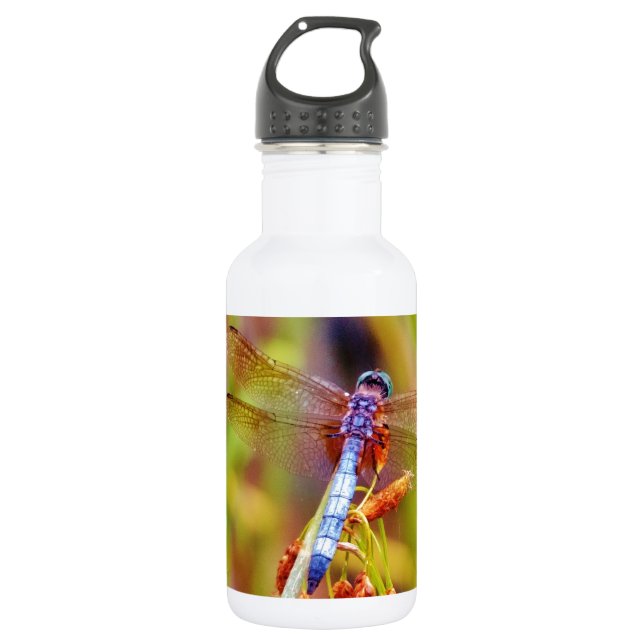 Botella De Agua Dragonfly verde azulado (Anverso)