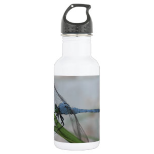 Botella De Agua Dragonismo azul