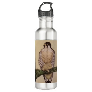 Botella De Agua Duckhawk Water Bottle