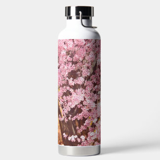 Botella De Agua Dulce cereza