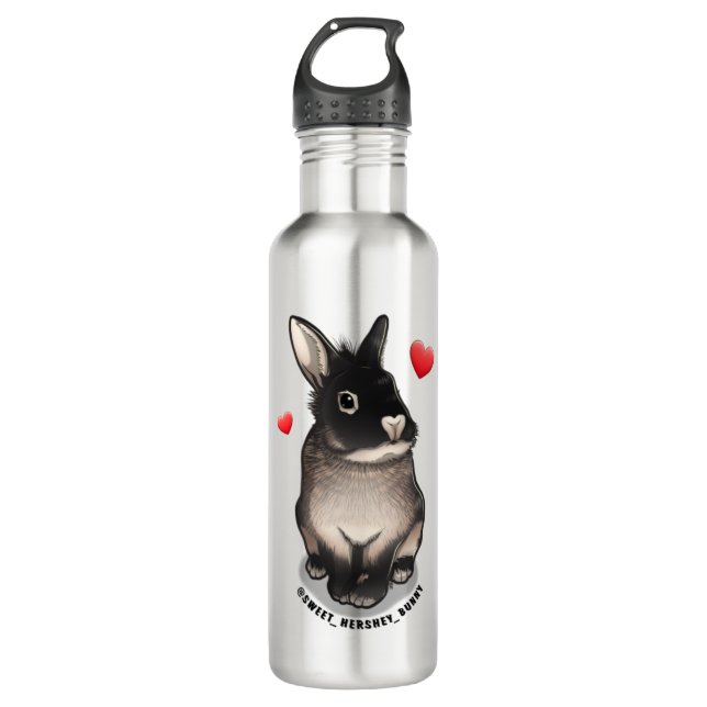 Botella de agua dulce Hershey (Anverso)