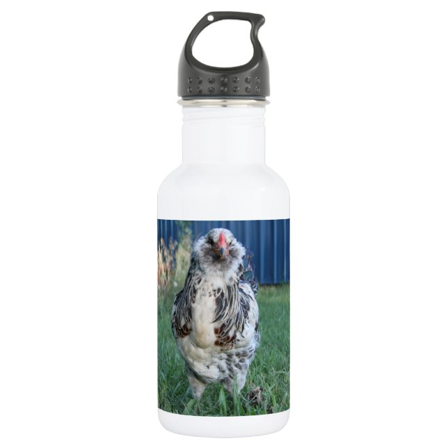 Botella De Agua Easter Egger Rooster (Anverso)