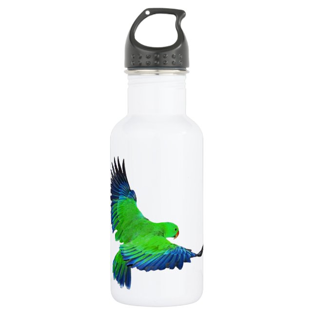 Botella De Agua Eclectus masculino (Anverso)