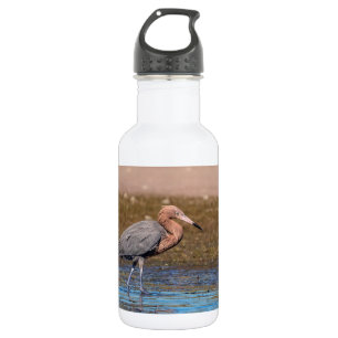 Botella De Agua Egret Reddish en North Beach