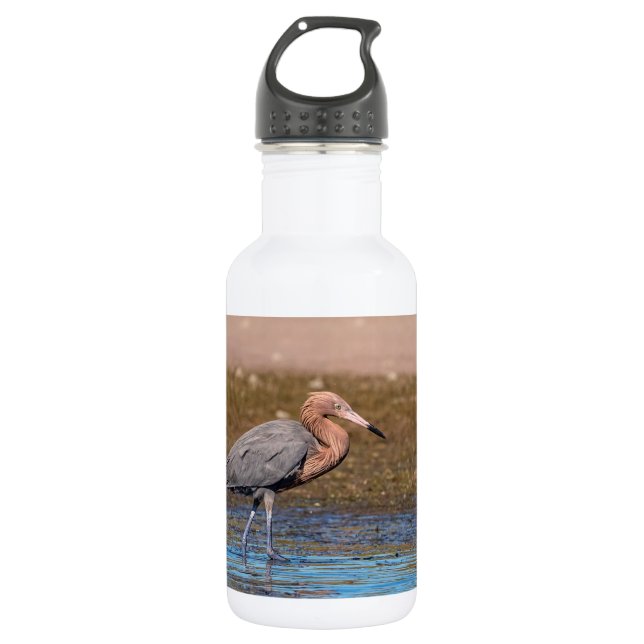 Botella De Agua Egret Reddish en North Beach (Anverso)