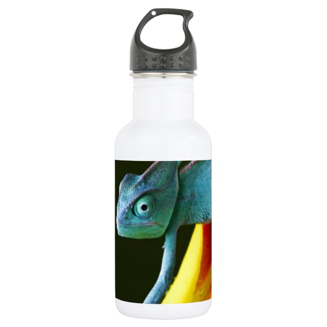 Botella De Agua El camaleón asombroso (Anverso)