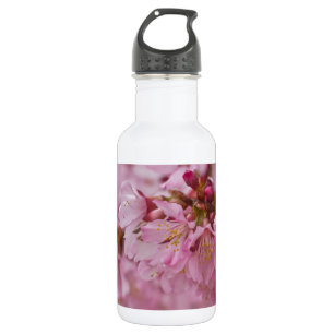 Botella De Agua El cerezo sakura florece con reflexiones rosa páli