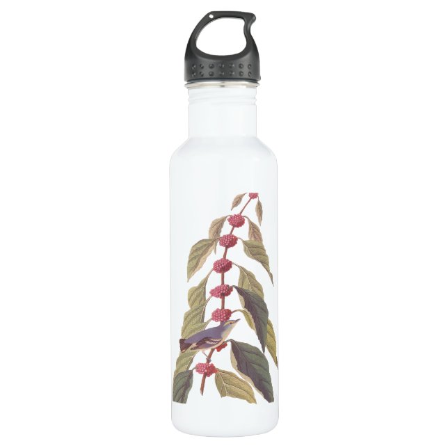 Botella De Agua El viejo pájaro de la guerra verde azul de Audubon (Anverso)