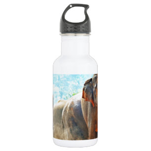 Botella De Agua Elefantes Animales Safari Destino Paz Amor