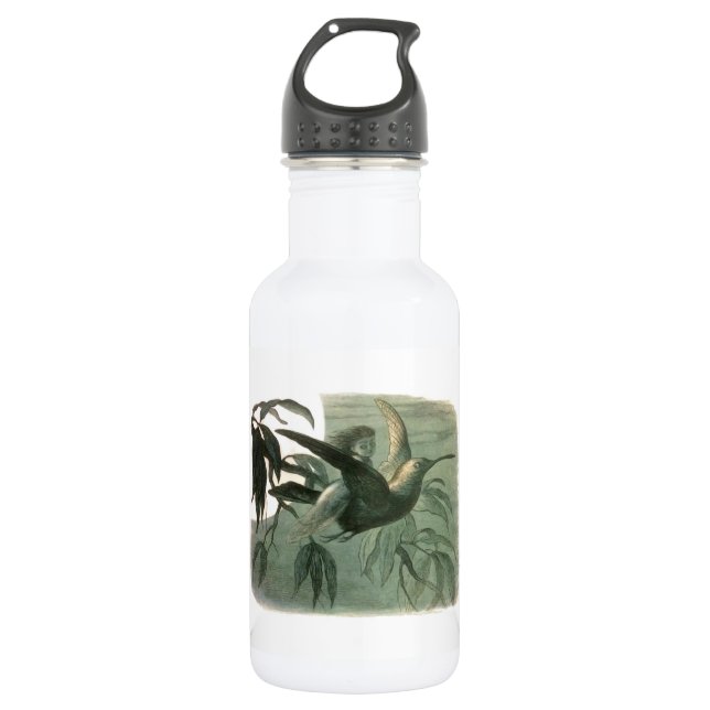 Botella De Agua Elf Fairies Elves Moon Night Scene Bird Flying (Anverso)