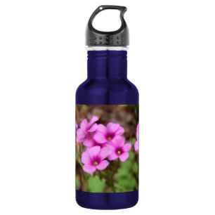 Botella De Agua En Mi Puerta