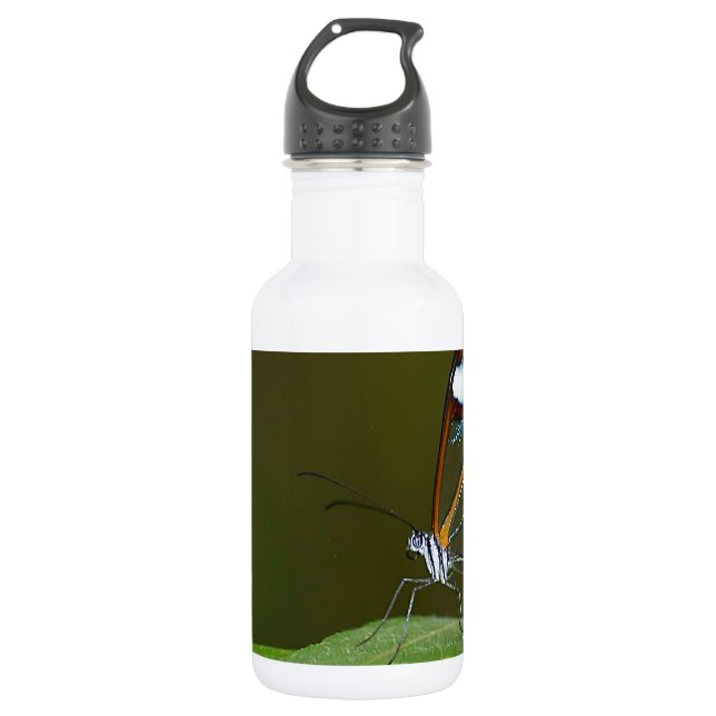 Botella De Agua "En un día despejado" Diseño de mariposa de vidrio (Anverso)