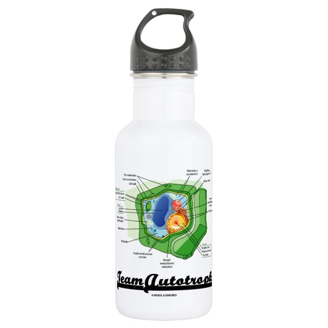 Botella De Agua Equipo Autotroph (biología celular de la planta) (Anverso)