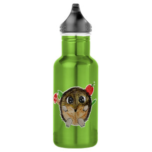 Botella De Agua Erizo Lindo
