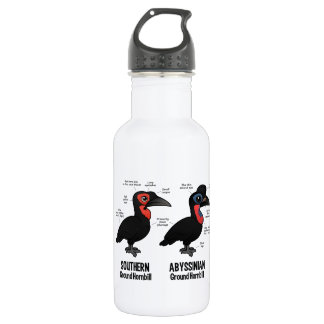 Botella De Agua Estadísticas de tierra de Hornbil