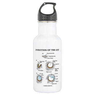 Botella De Agua Evolución del ojo