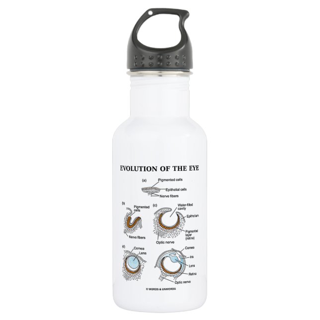 Botella De Agua Evolución del ojo (Anverso)
