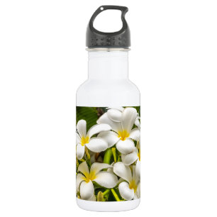Botella de agua exótica del Plumeria de la isla