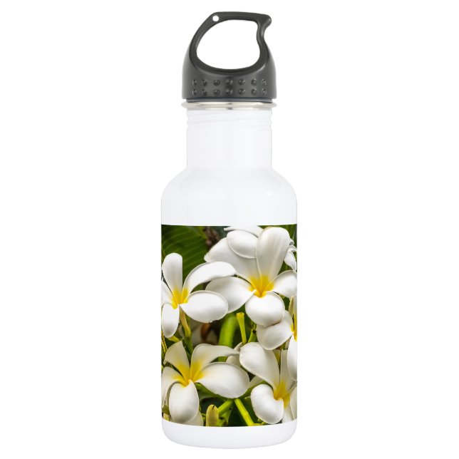 Botella de agua exótica del Plumeria de la isla (Anverso)