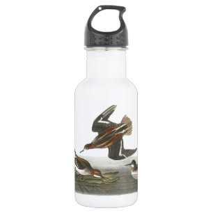 Botella De Agua Falarope de cuello rojo de Audubon