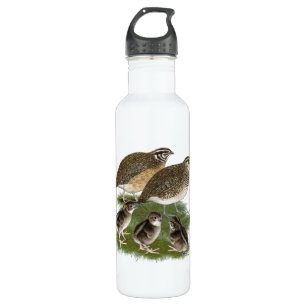 Botella De Agua Familia Coturnix Quail