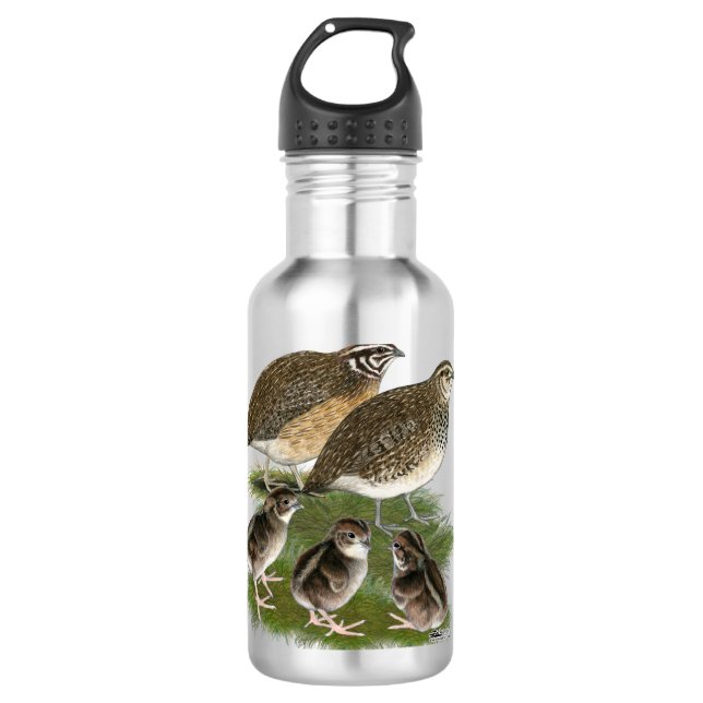 Botella De Agua Familia Coturnix Quail (Anverso)