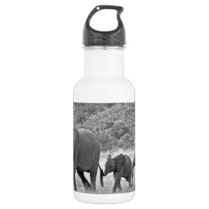 Botella De Agua Familia de elefantes surafricanos