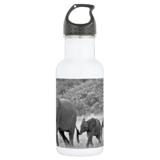 Botella De Agua Familia de elefantes surafricanos