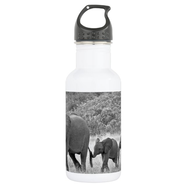 Botella De Agua Familia de elefantes surafricanos (Anverso)