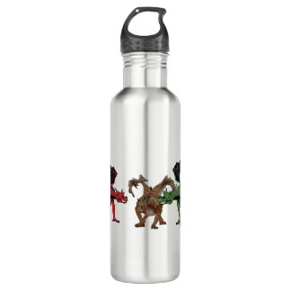 Botella De Agua Familia Dragon
