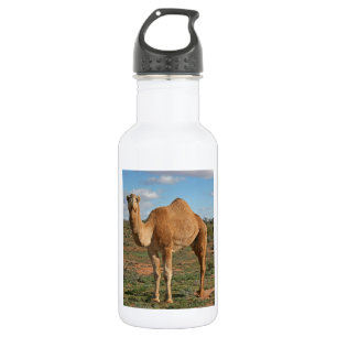 BOTELLA DE AGUA FELIZ GIFING