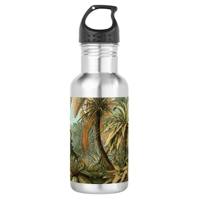 Botella De Agua Ferns Palm Tree Antique Botanica Ferns Art (Anverso)